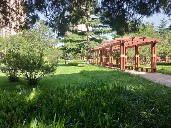 �̌W�h(hu��n)��